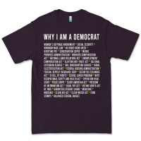 Why I Am A Democrat Cool Political Outfit For Democrats Long Sleeve Premium Tee | Teevron