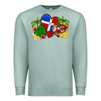 Seafoam dominican republic hearts Premium Sweatshirt - Artiststas