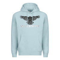 Hot Trend Raven Nevermore Poetry Halloween Edgar Allan Poe Premium Hoodie | Teevron