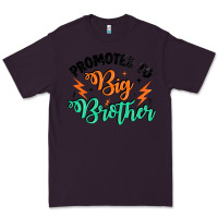 Plum promoted to big brother Premium Tee - Artiststas