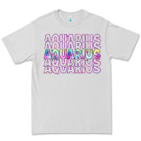 Dove Grey aquarius Premium Tee - Artiststas