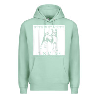 Seafoam basenji funny dog lover gift t shirt Premium Hoodie - lanVoArt
