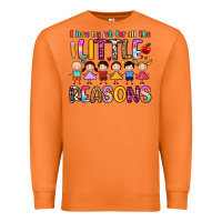 Carrot i love my job for all the little reasons Premium Sweatshirt - Artiststas