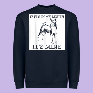 Basenji Funny Dog Lover Gift T Shirt Heavyweight Sweatshirt Designed By Lanvoart