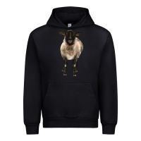 Black suffolk ewe front Urban Hoodie - BarkalooDesign