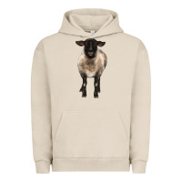 Pigment French Oak suffolk ewe front Urban Hoodie - BarkalooDesign
