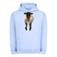 Pigment Grape Ice suffolk ewe front Urban Hoodie - BarkalooDesign