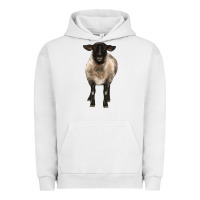 Pigment Lunar Rock suffolk ewe front Urban Hoodie - BarkalooDesign