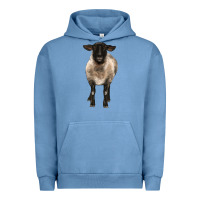 Pigment Pebble Blue suffolk ewe front Urban Hoodie - BarkalooDesign