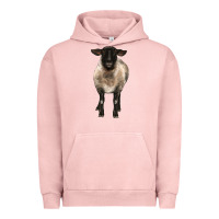 Pigment Salmon suffolk ewe front Urban Hoodie - BarkalooDesign