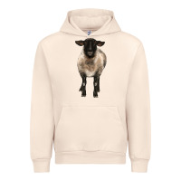 Sandshell suffolk ewe front Urban Hoodie - BarkalooDesign