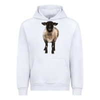 White suffolk ewe front Urban Hoodie - BarkalooDesign