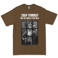 Great⭐ David⭐bowie ⭐1 Premium Tee | Teevron