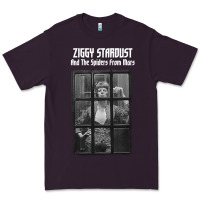 Plum great⭐ david⭐bowie ⭐1 Premium Tee - lanVoArt