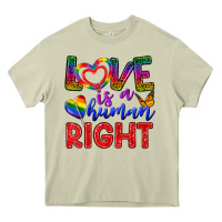 Mossy Love İs a Human Right Heavy Core Tee - BundleAndBundleShop