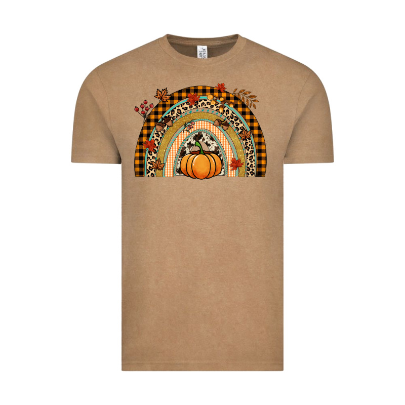 Fall Rainbow Pumpkin Vintage Tee by NancyCooperArtShop | Teevron