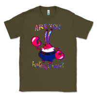Army Green Funny Men Are You Feeling It Now Mr Krabs Gifts For Music Fans 1 Classic Tee - lanVoArt