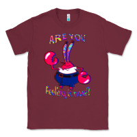 Burgundy Funny Men Are You Feeling It Now Mr Krabs Gifts For Music Fans 1 Classic Tee - lanVoArt