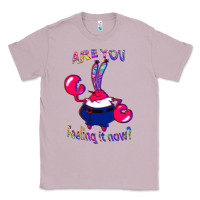 Lilac Funny Men Are You Feeling It Now Mr Krabs Gifts For Music Fans 1 Classic Tee - lanVoArt