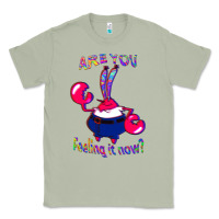 Matcha Funny Men Are You Feeling It Now Mr Krabs Gifts For Music Fans 1 Classic Tee - lanVoArt