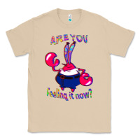 Mushroom Funny Men Are You Feeling It Now Mr Krabs Gifts For Music Fans 1 Classic Tee - lanVoArt