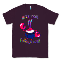 Plum Funny Men Are You Feeling It Now Mr Krabs Gifts For Music Fans 1 Classic Tee - lanVoArt