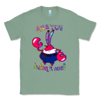 Sage Funny Men Are You Feeling It Now Mr Krabs Gifts For Music Fans 1 Classic Tee - lanVoArt