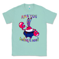 Seafoam Funny Men Are You Feeling It Now Mr Krabs Gifts For Music Fans 1 Classic Tee - lanVoArt