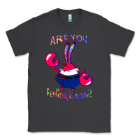 Smoke Funny Men Are You Feeling It Now Mr Krabs Gifts For Music Fans 1 Classic Tee - lanVoArt