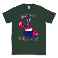 Sports Green Funny Men Are You Feeling It Now Mr Krabs Gifts For Music Fans 1 Classic Tee - lanVoArt