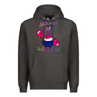 Smoke Funny Men Are You Feeling It Now Mr Krabs Gifts For Music Fans 1 Premium Hoodie - lanVoArt