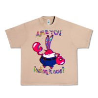 Burro Funny Men Are You Feeling It Now Mr Krabs Gifts For Music Fans 1 Urban Heavy Tee - lanVoArt