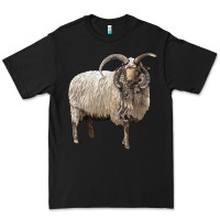 Black navajo churro sheep Premium Tee - LillyAllenDesigns