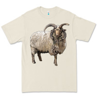Bone navajo churro sheep Premium Tee - LillyAllenDesigns