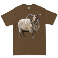 Cacao navajo churro sheep Premium Tee - LillyAllenDesigns