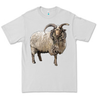 Dove Grey navajo churro sheep Premium Tee - LillyAllenDesigns