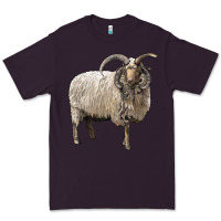 Plum navajo churro sheep Premium Tee - LillyAllenDesigns