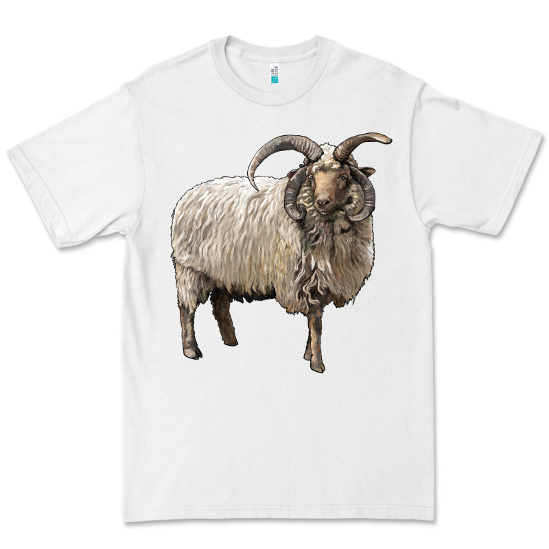 Navajo Churro Sheep Premium Tee by LillyAllenDesigns | Teevron