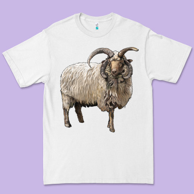 Navajo Churro Sheep Premium Tee Designed By Lillyallendesigns