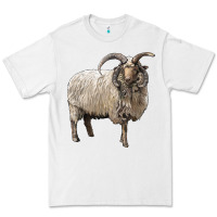 White navajo churro sheep Premium Tee - LillyAllenDesigns