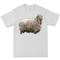 Dove Grey lincoln sheep Premium Tee - LillyAllenDesigns