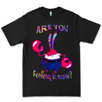 Black Funny Men Are You Feeling It Now Mr Krabs Gifts For Music Fans 1 Premium Tee - lanVoArt