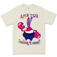 Bone Funny Men Are You Feeling It Now Mr Krabs Gifts For Music Fans 1 Premium Tee - lanVoArt