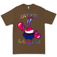 Funny Men Are You Feeling It Now Mr Krabs Gifts For Music Fans 1 Premium Tee | Teevron