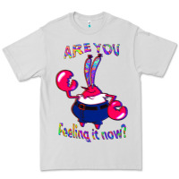 Dove Grey Funny Men Are You Feeling It Now Mr Krabs Gifts For Music Fans 1 Premium Tee - lanVoArt