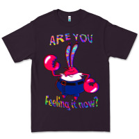 Plum Funny Men Are You Feeling It Now Mr Krabs Gifts For Music Fans 1 Premium Tee - lanVoArt