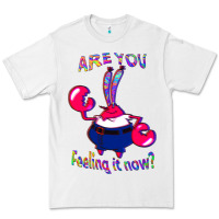 White Funny Men Are You Feeling It Now Mr Krabs Gifts For Music Fans 1 Premium Tee - lanVoArt