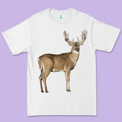 White Tailed Buck Deer Premium Tee Designed By Lillyallendesigns