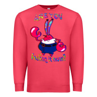 Cardinal Funny Men Are You Feeling It Now Mr Krabs Gifts For Music Fans 1 Premium Sweatshirt - lanVoArt