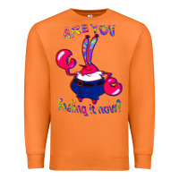 Carrot Funny Men Are You Feeling It Now Mr Krabs Gifts For Music Fans 1 Premium Sweatshirt - lanVoArt